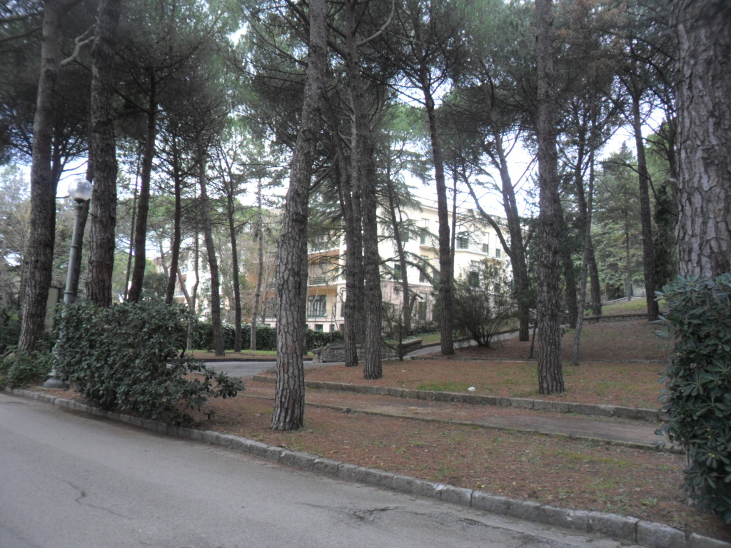 Ex Sanatorium  Pietro Grocco(2) .JPG